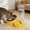 Yellow-Free Size/YE, variant on Tgbvmt Pet Automatic Feeder Water Dispenser Removable Stainless Steel Bowl Integrated Food Water Dispenser Leak-Proof Plastic Pet Feeder for Home Indoor Kitten Puppy Cat Dog Daily Feeding Supplies