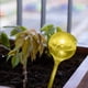 thumbnail image 4 of Bebedero De Plantas Riego por goteo con forma de bola ligera para plantas de PVC para plantas en macetas de interior Likrtyny Para estrenar, 4 of 5