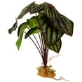 thumbnail image 4 of Plantas artificiales para reptiles, decoración de terrario para reptiles, accesorios para tanque de dragón barbudo, decoración de hábitat para anfibios., 4 of 8