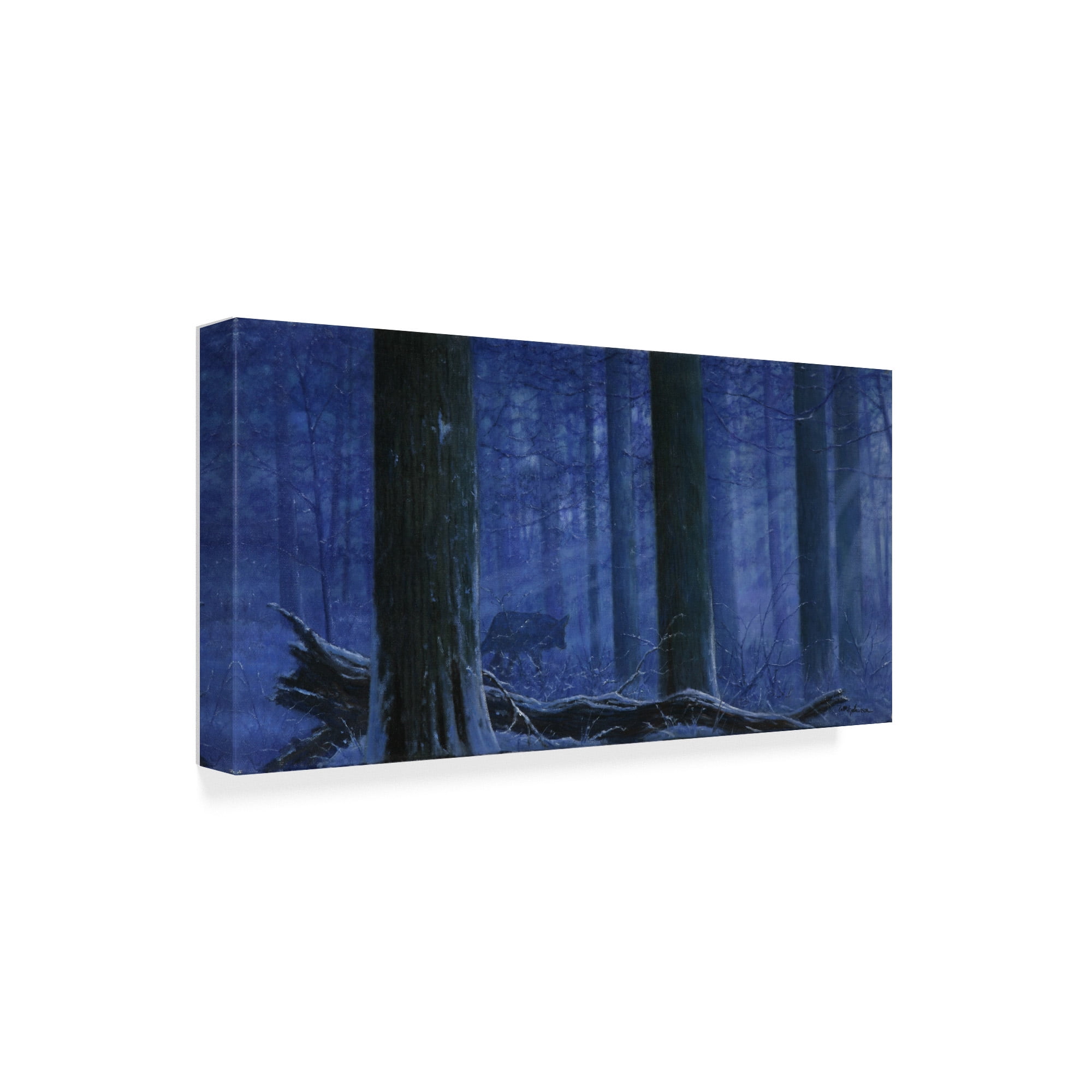 Trademark Fine Art 'Blue Wolf' Canvas Art by Bill Makinson