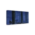 thumbnail image 2 of Trademark Fine Art 'Blue Wolf' Canvas Art by Bill Makinson, 2 of 3