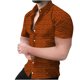 thumbnail image 1 of Camisa de manga corta con cuello en V para hombre, con estampado de Halloween, informal, con estampado de blusa Pompotops oipoqjl45903, 1 of 7