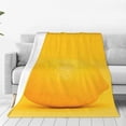 thumbnail image 1 of Balery Yellow Lemon Manta de Felpa Suave y Acogedora – Cobija de Franela Aterciopelada para Cama, Lavable y Cálida para Sofá, Mascotas, Transpirable-40"x30", 1 of 7