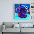 thumbnail image 3 of Trademark Fine Art 'Rottie Dexter 2' Canvas Art by DawgArt, 3 of 3