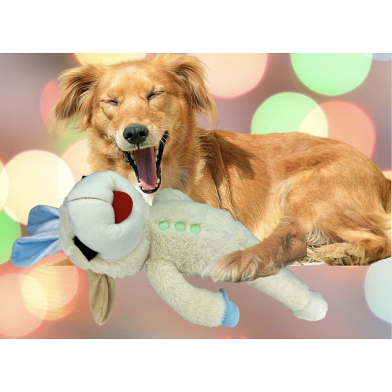 Indice General de Histarmar