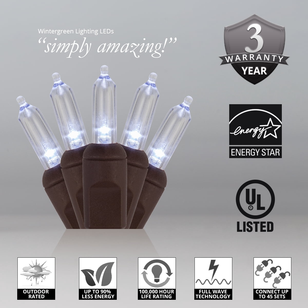 Wintergreen Lighting T5 LED Mini Lights Brown Wire Christmas Lights, Brown Wired Clear Mini Lights, LED Christmas Lights, 50 Lights