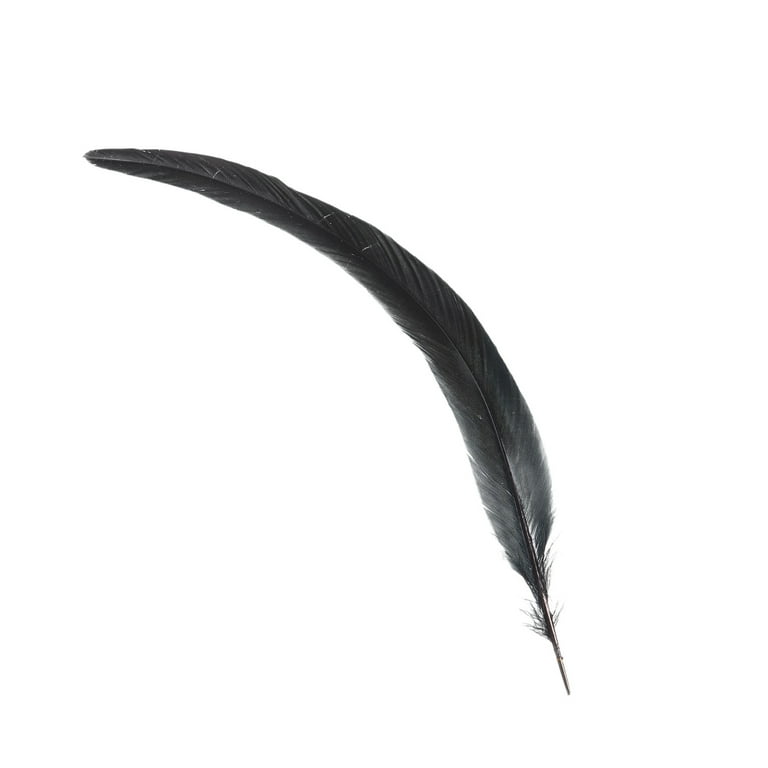 CREAM ROOSTER SADDLE HACKLE LONG THIN DRY FLY TYING FEATHERS #15