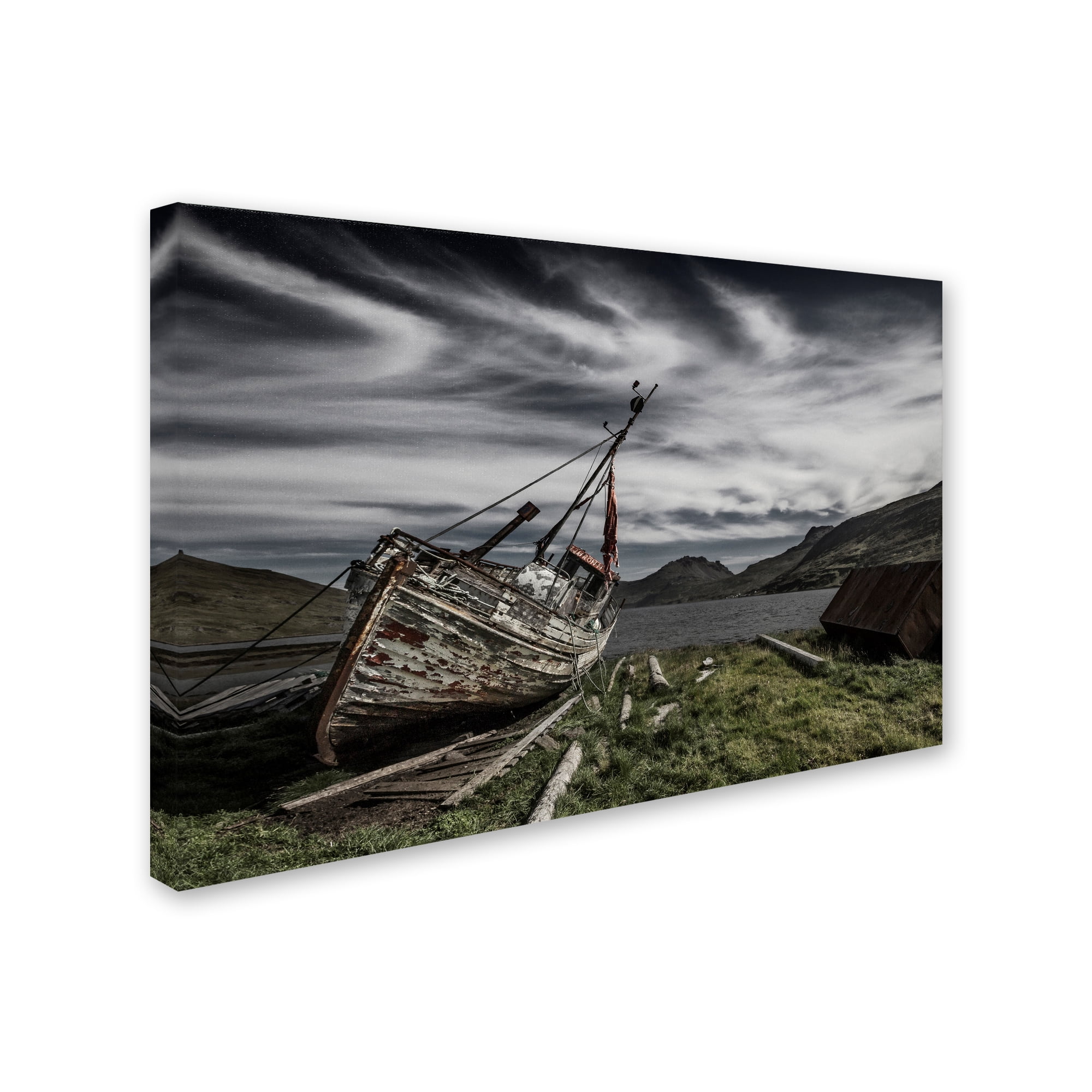 Trademark Fine Art 'Harann' Canvas Art by Bragi Ingibergsson