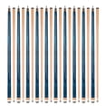 thumbnail image 1 of Lot de 10 Queues de Billard ASKA L3 Bleues, Arbre Érable Canadien de 58 Pouces, Embout Rigide de 13 mm, Poids Mixtes, 1 of 5