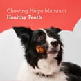 thumbnail image 5 of DreamBone Peanut Butter Flavored Rawhide-Free Dog Chews, Mini, 45.2 Oz. (80 Count), 5 of 10
