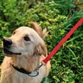 thumbnail image 5 of Toyvian Reflective Rope Dog Leash Reflective Dog Leash Red 1 Set, 5 of 7