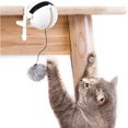 thumbnail image 1 of Juguete divertido para gatos con pelota eléctrica para levantar (blanco), 1 of 3