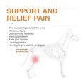thumbnail image 4 of Rodillera LISPOO para perros con ligamento cruzado anterior para desgarro del ligamento cruzado anterior y luxación de rótula, 4 of 7