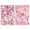 White, variant on Fresh Strawberry Print Kitchen Towels Set of 2, Super Absorbent Dish Drying Cloths - Cute Fruit Pattern Towels for Baking, Cooking and Country Kitchen