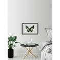 thumbnail image 5 of Hunter Green Butterfly Framed Painting Print, 5 of 6