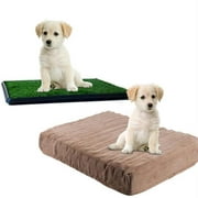 Memory Foam Dog Bed and Puppy Potty Trainer Set by PETMAKER