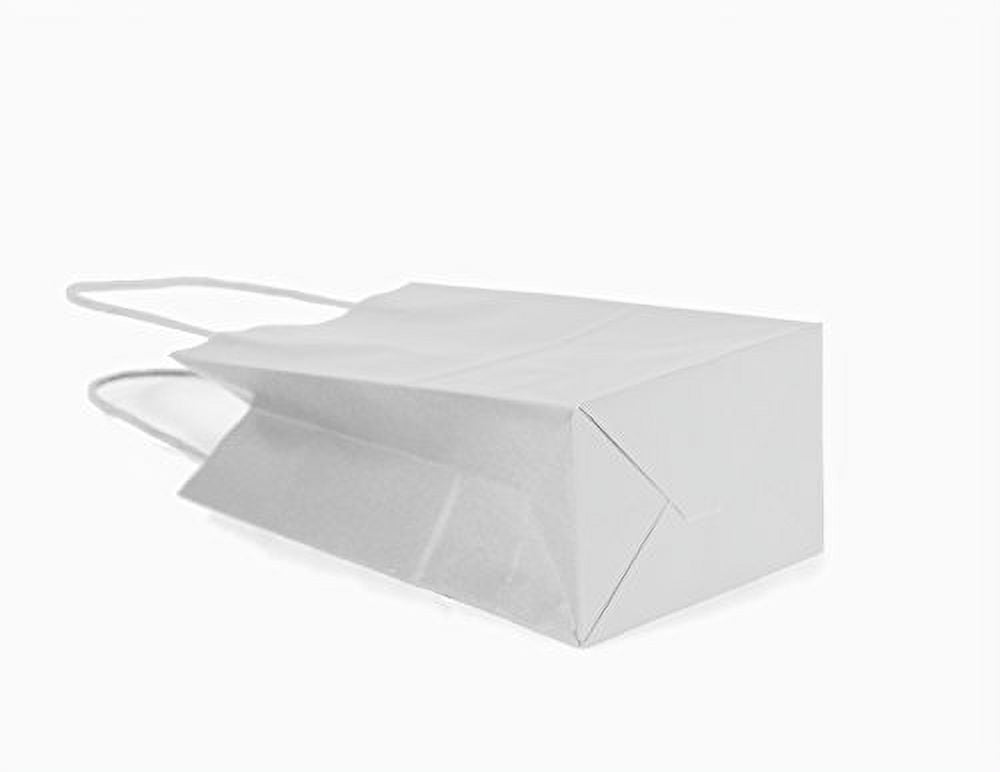 Gift Expressions White Gift Bags, 12 Count