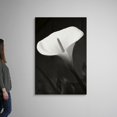 thumbnail image 2 of Great BIG Canvas Photography, 2 of 7