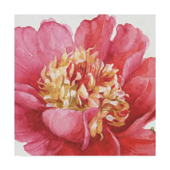 Trademark Fine Art 'Pink Garden V' Canvas Art by Lisa Audit
