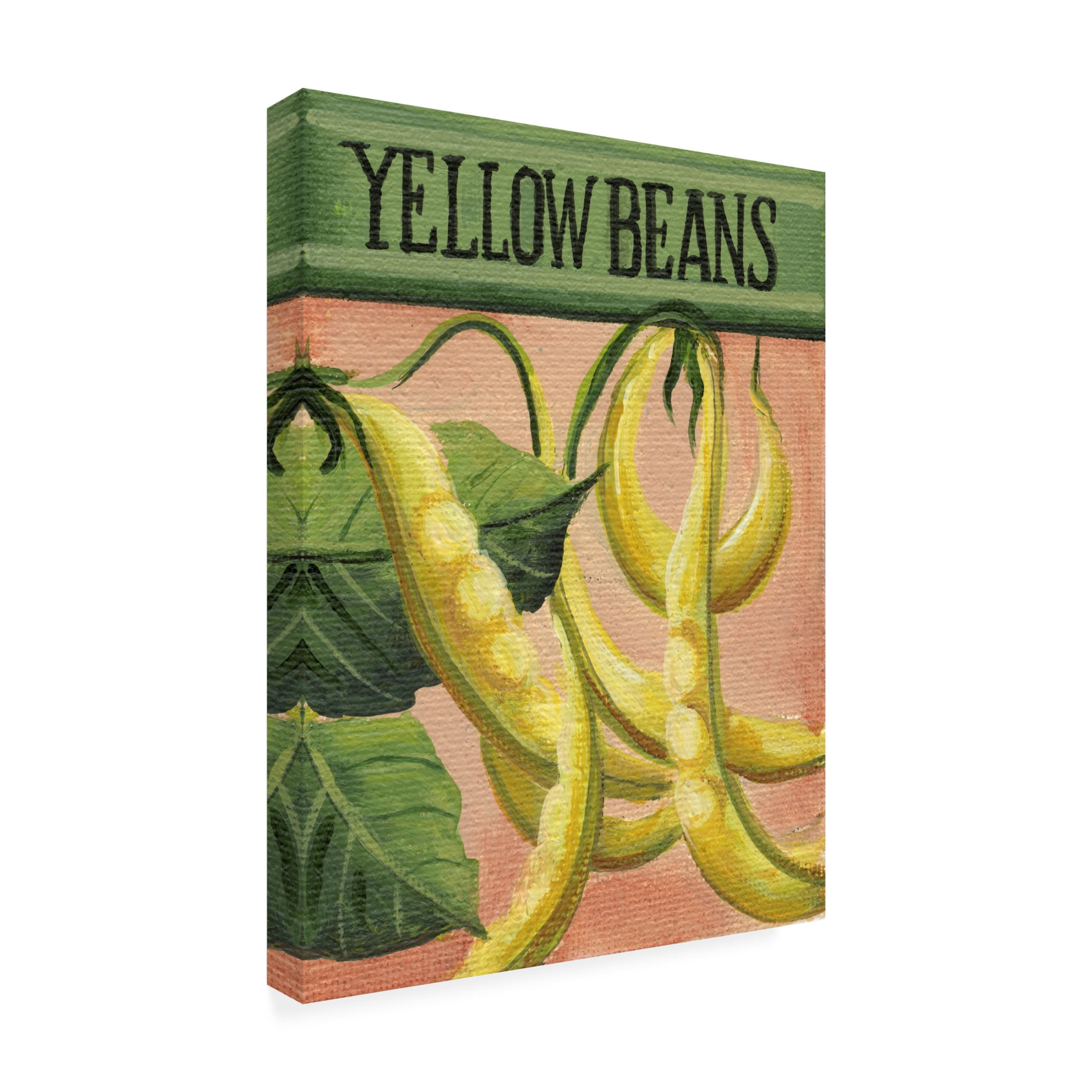 Canvas Wall Art - Debbi Wetzel 'Seed Packets 23 - Yellow Beans' Wall Art for Living Room, Bedroom, or Office Décor by Trademark Fine Art - 18 x 24 Inches
