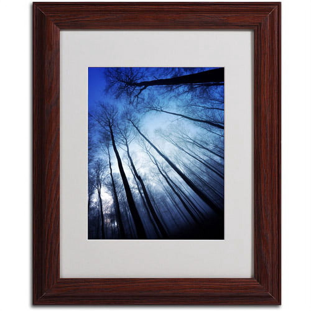 Trademark Fine Art "Blue Forest" Canvas Art by Philippe Sainte-Laudy, Wood Frame