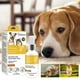 thumbnail image 2 of 2X Pet Bee Venom Joint Therapy Oil for Full Body Recovery for Dog Cat Pain, 2 of 4