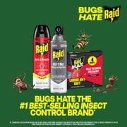 Raid Defend Wasp and Hornet Killer, Outdoor Flying Insect Nest Killer Spray, 14 oz, 3 Ct