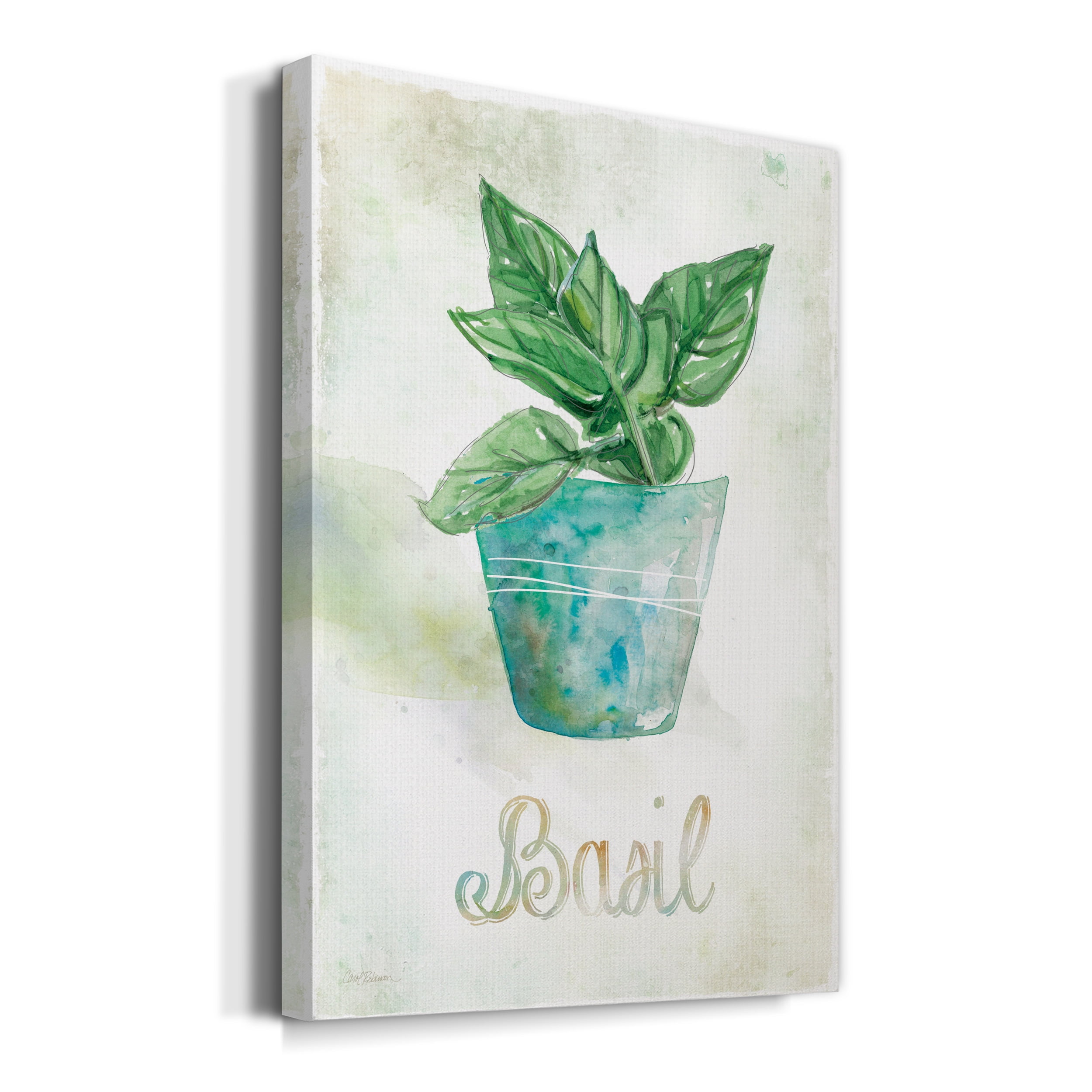 Potted Basil Premium Gallery Wrapped Canvas - Ready to Hang - 8 x 12