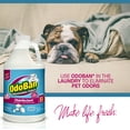 thumbnail image 5 of OdoBan All-Purpose Cleaners, Cotton Breeze and Fresh Scent, 128 Fluid Ounce, 2 Count, 5 of 7