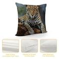 thumbnail image 4 of Shangniulu African Animal Safari Leopard Wildlife Pillow Cover ,Decorative Couch Pillow Cover for Sofa,Short Plush Cushion Case Indoor Outdoor Home Decoration, 4 of 5