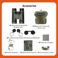 thumbnail image 4 of Binoculares Bushnell R5 8x42 Roof Claridad y Rendimiento Color Verde, 4 of 9