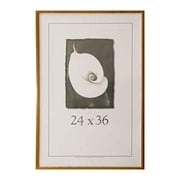 Frame USA 24" x 36" Acrylic/Wood Picture Frames, Brown/White