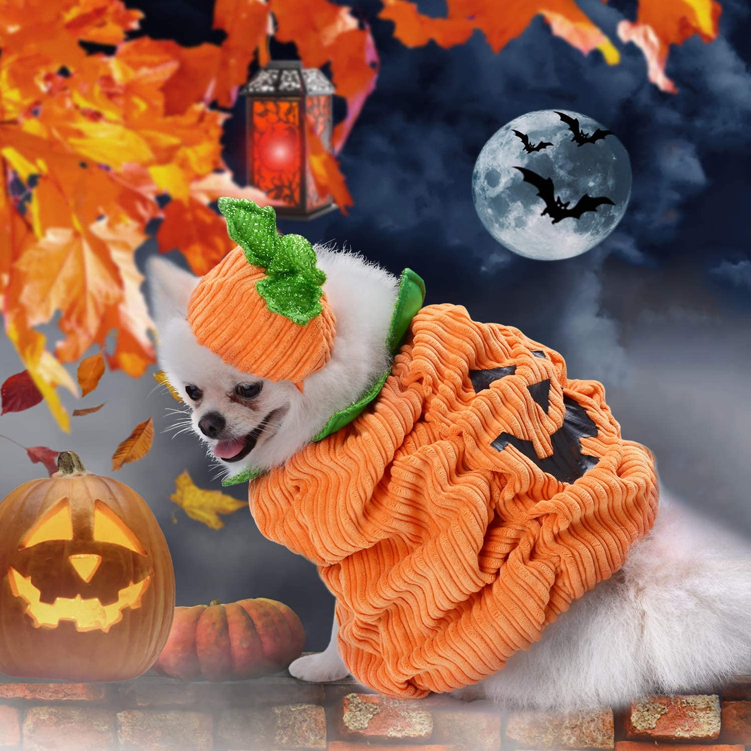 Halloween Costume for Dogs Pumpkin Hat Creative Halloween Costumes for Dogs Halloween Party Dress Up Walmart