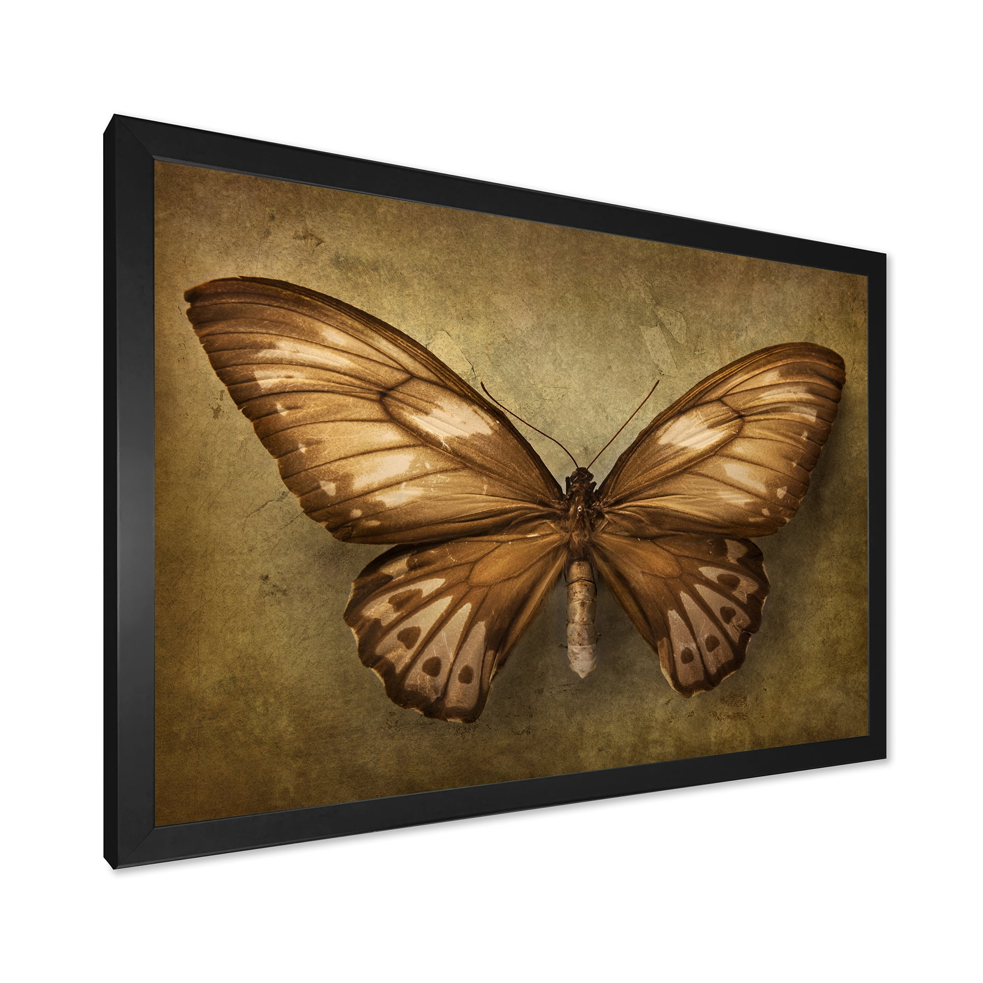 Designart 'Ancient Butterfly In Earth Tones' Vintage Framed Art Print