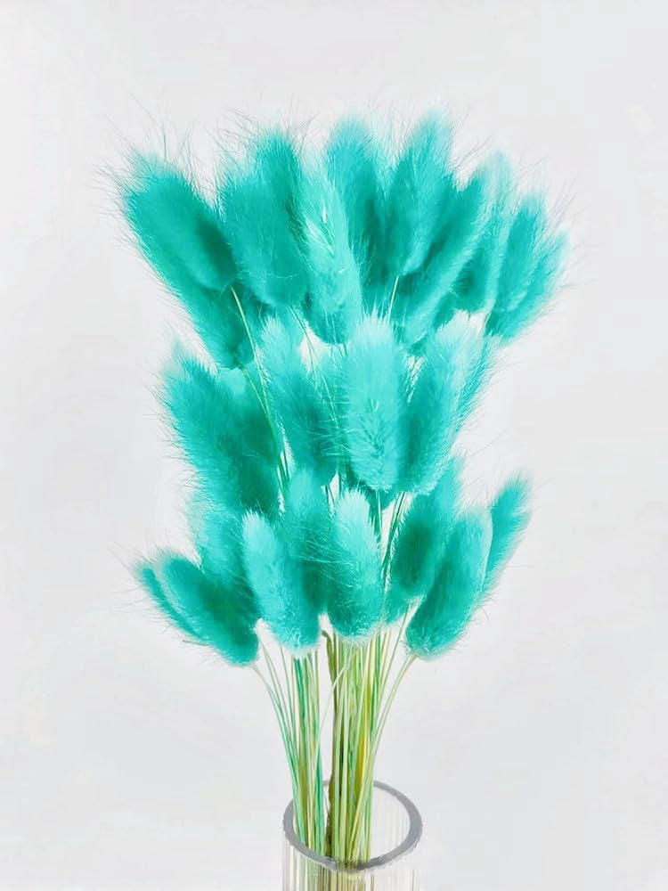 Natural Dried Bunny Tail Grass Real Flower Eternal Flower Lagurus Ovatus Dry Grass Dried Flowers Pampas Grass Bouquet Rabbit Tail Grass Stems forHome Decor and Fall Theme Decorati(7"/White)