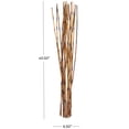 thumbnail image 3 of 41" Tall Stick Bamboo Natural Foliage Sticks Bouquet, by DecMode, 3 of 7