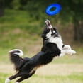 thumbnail image 2 of Folleto sobre neumáticos TPR translúcidos mejorados de Toy Nerf Dog, azul, 2 of 5