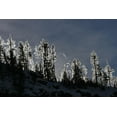 thumbnail image 2 of Peaco, Jim 32x23 White Modern Wood Framed Museum Art Print Titled - Frosted Trees in Gibbon Canyon, Yellowstone National Park, 2 of 4