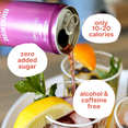 thumbnail image 3 of Moment Adaptogen Drink Still Combo Variety, 11.5 Oz, 18 Pack Cans, 3 of 6
