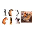 thumbnail image 2 of Almohada con estampado animal 3D, bonita forma de perro 3D, suave cojín de algodón PP para niños, regalo único, 2023, 2 of 5