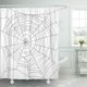 thumbnail image 1 of ABPHQTO Telaraña Dibujo abstracto de telaraña en araña Cortina de ducha de encaje de Halloween 152x180 cm ABPHQTO PKNMT60x72Shower-5893, 1 of 2