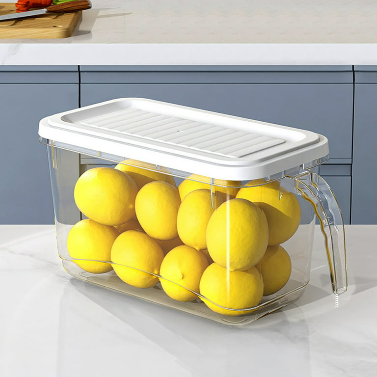 Fridge Storage Containers Produce Preservation , Stackable Refrigerator  Organizer With Handle To Keep Fresh Storage Box For Produce, Food,  Vegetables, Meat And Fish, Clear Easy To Wash 
