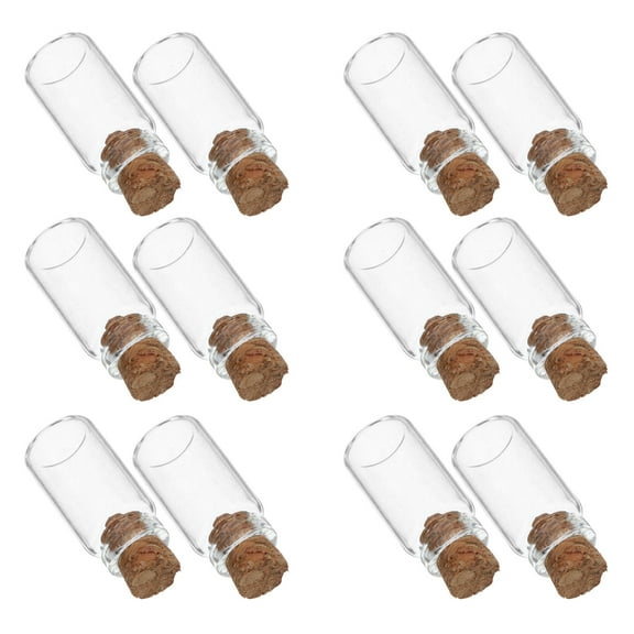 HEMOTON 12Pcs Mini Glass Wishing Bottles Mini Wishing Bottles  Small Glass Bottles With Cork Lids Mini Glass Wishing Bottles For Diy Crafts Making (L)
