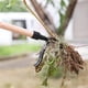 thumbnail image 5 of Naiovety Weeder Stand Up Puller Tool Garden Remover Aluminio resistente Outdoor Grass Pala para eliminar las malas hierbas al aire libre Jardín y Patio, 5 of 6