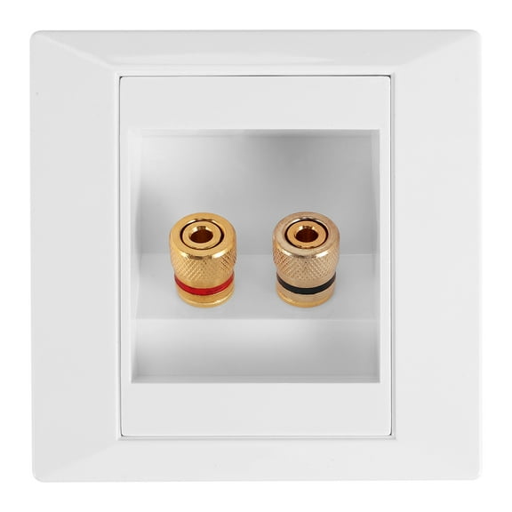 Wall Socket Connection Port with 2 Jack Speaker White