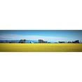 thumbnail image 3 of Stalowy, John 24x9 Black Modern Framed Museum Art Print Titled - Canola Fields, 3 of 5