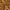 Gold, variant on SAFAVIEH Antiquity Carmella Floral Bordered Wool Area Rug, Olive/Gold, 2' x 3'