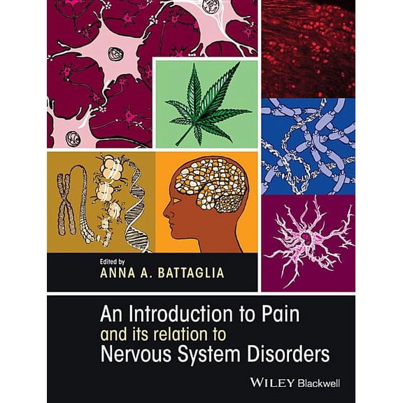 An Introduction to Pain and Its Relation to Nervous System Disorders (Hardcover)
