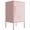 Blush, variant on Single Door Lockable Metal End Table & Children's Bedside Table, 2-Tier Storage Cabinet with Adjustable Shelf, Easy Assembly Side Table for Living Room Bedroom Home Office Yellow