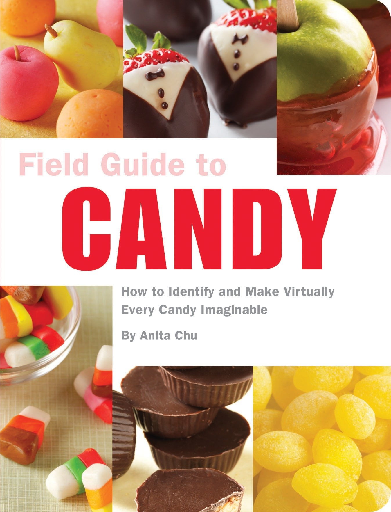 Field Guide to Candy How to Identify and Make Virtually Every Candy